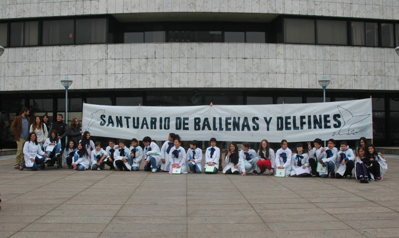 Uruguay Whale and Dolphin Sanctuary a Fact! Uruguay Whale and Dolphin Sanctuary a Fact!
