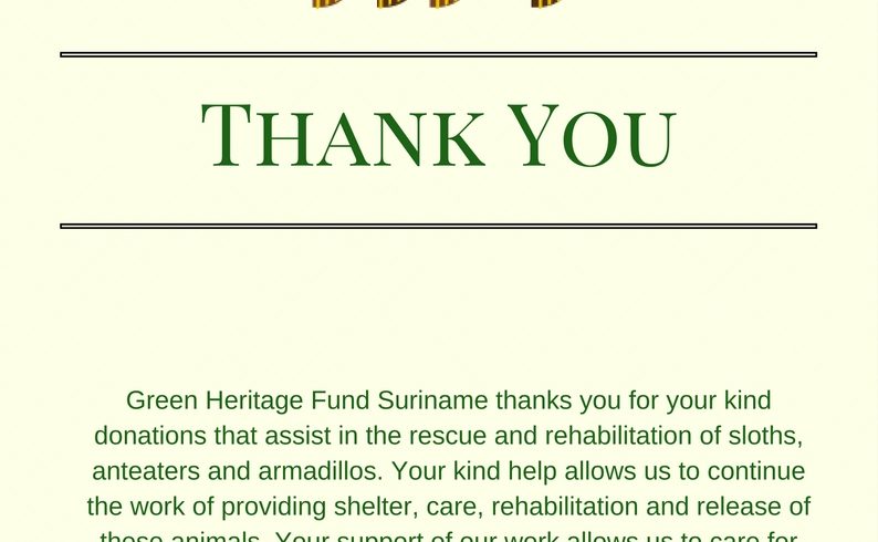 Thank you from Anonymous Sloth to Anonymous Donors! Thank you from Anonymous Sloth to Anonymous Donors!