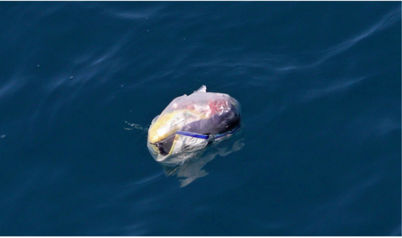 In 2050 more Plastic in the Ocean than Fish In 2050 more Plastic in the Ocean than Fish