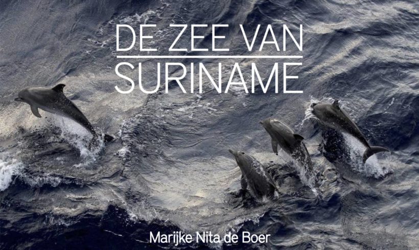 The Sea of Suriname The Sea of Suriname