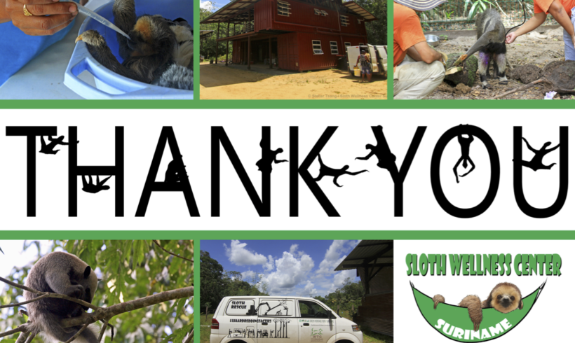 Thank you from the Sloth Wellness Center and Slothful New Year 2018! Thank you from the Sloth Wellness Center and Slothful New Year 2018!