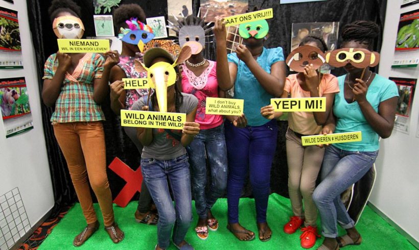 Wildlife Welfare and Xenarthra, Dolphins, and Manatees Wildlife Welfare and Xenarthra, Dolphins, and Manatees