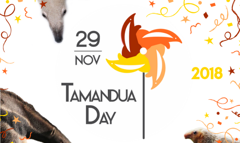 World Tamandua Day – 29 November 2018 World Tamandua Day – 29 November 2018