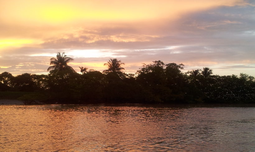 Conservation International Suriname’s neoliberal experiment with bulk freshwater export Conservation International Suriname’s neoliberal experiment with bulk freshwater export